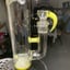 Small image 6