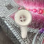 Small image 8