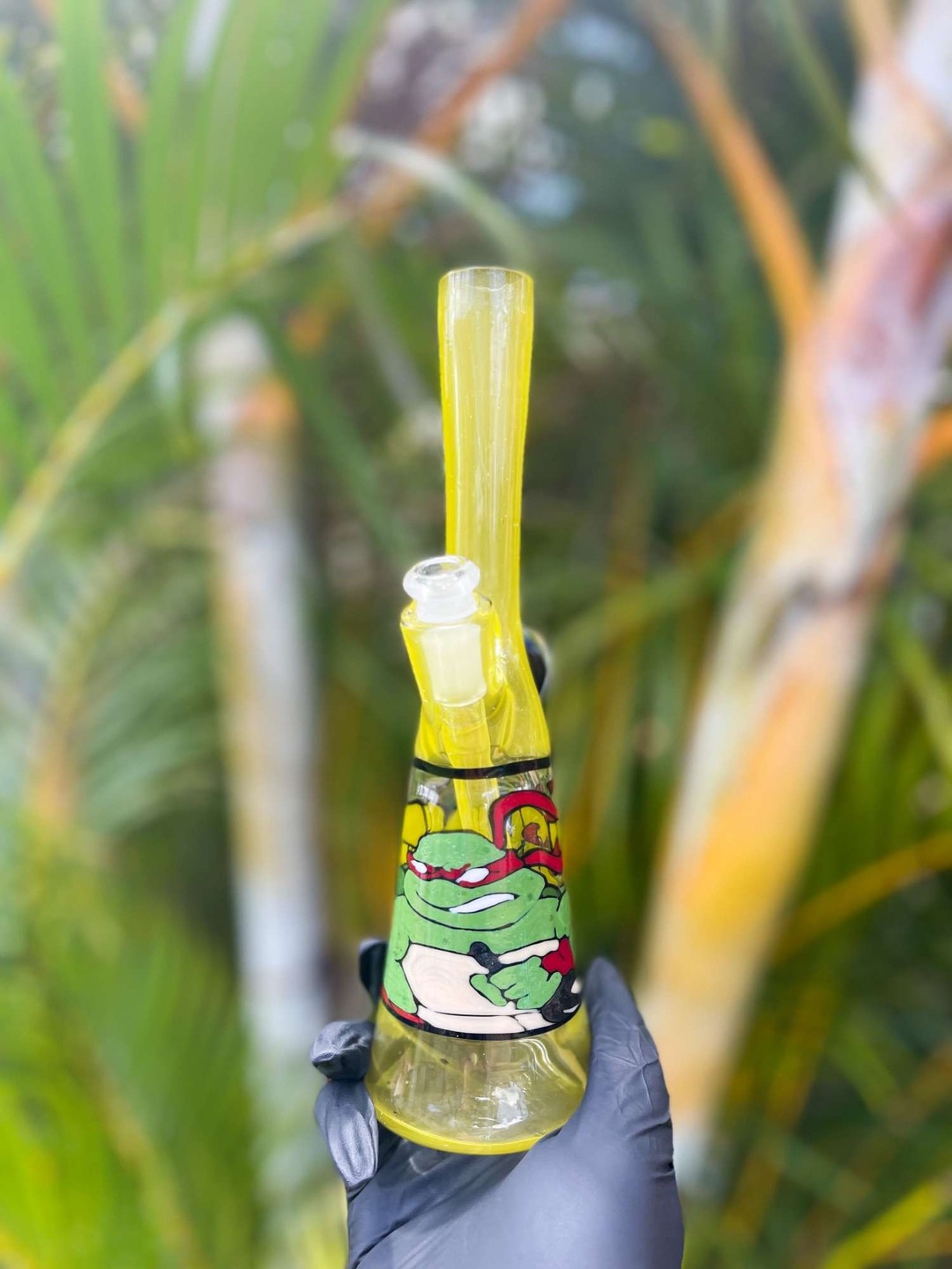 Preview pic of TMNT Rig by Windstar Glass