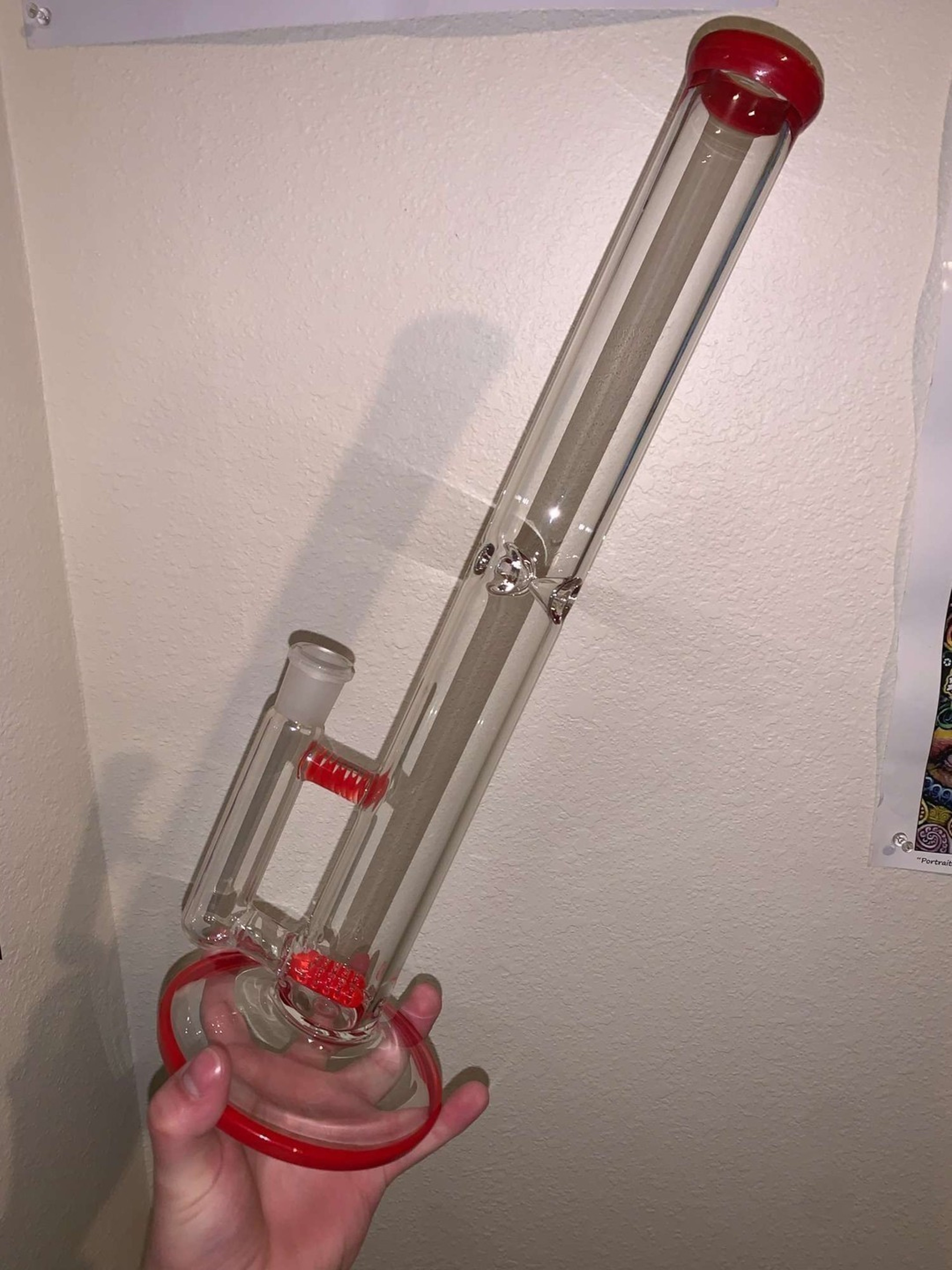 dual stemline #03 2kglassart image 0