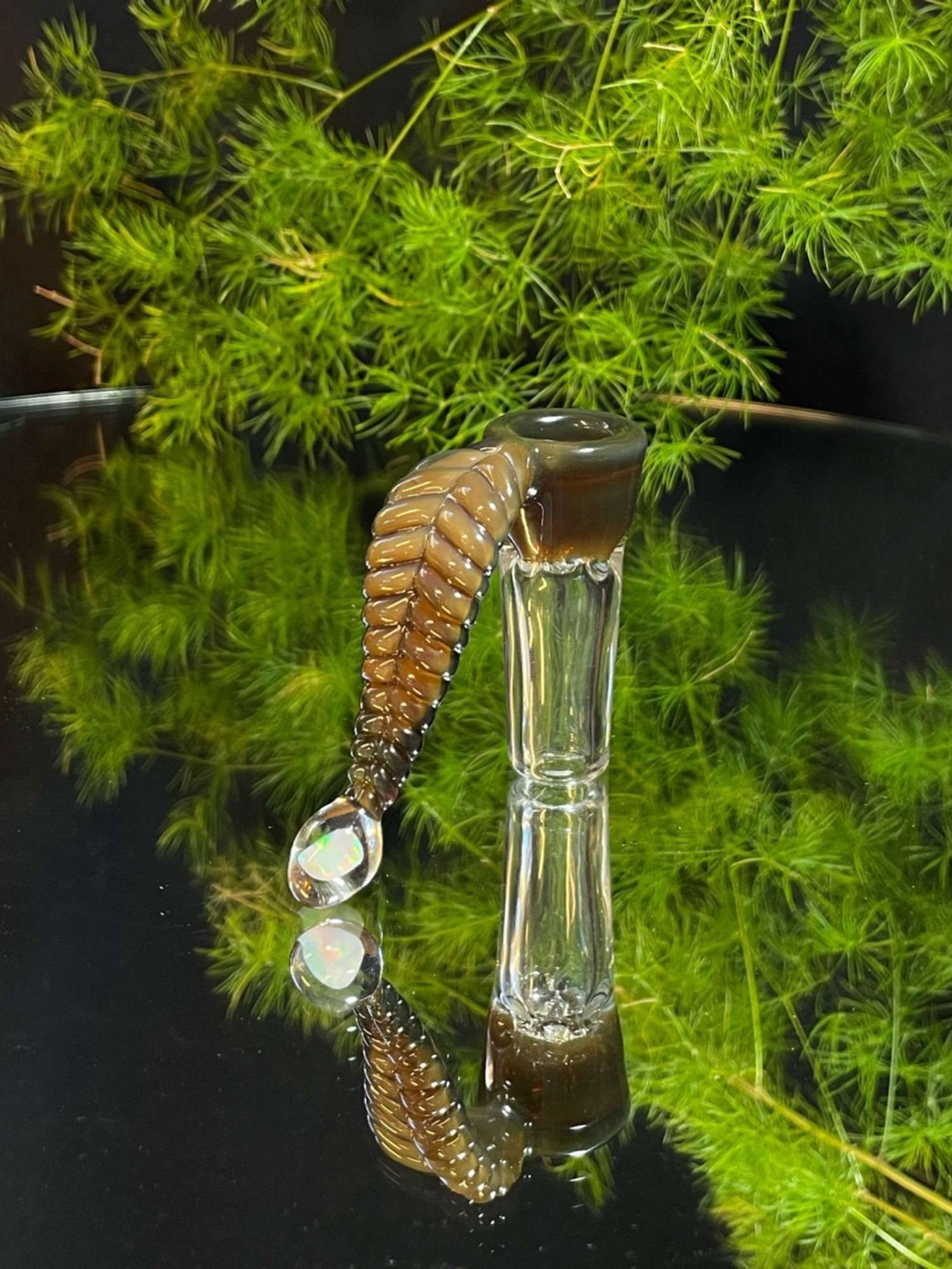 Spore Leaf slide image 0