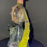 Small image 2