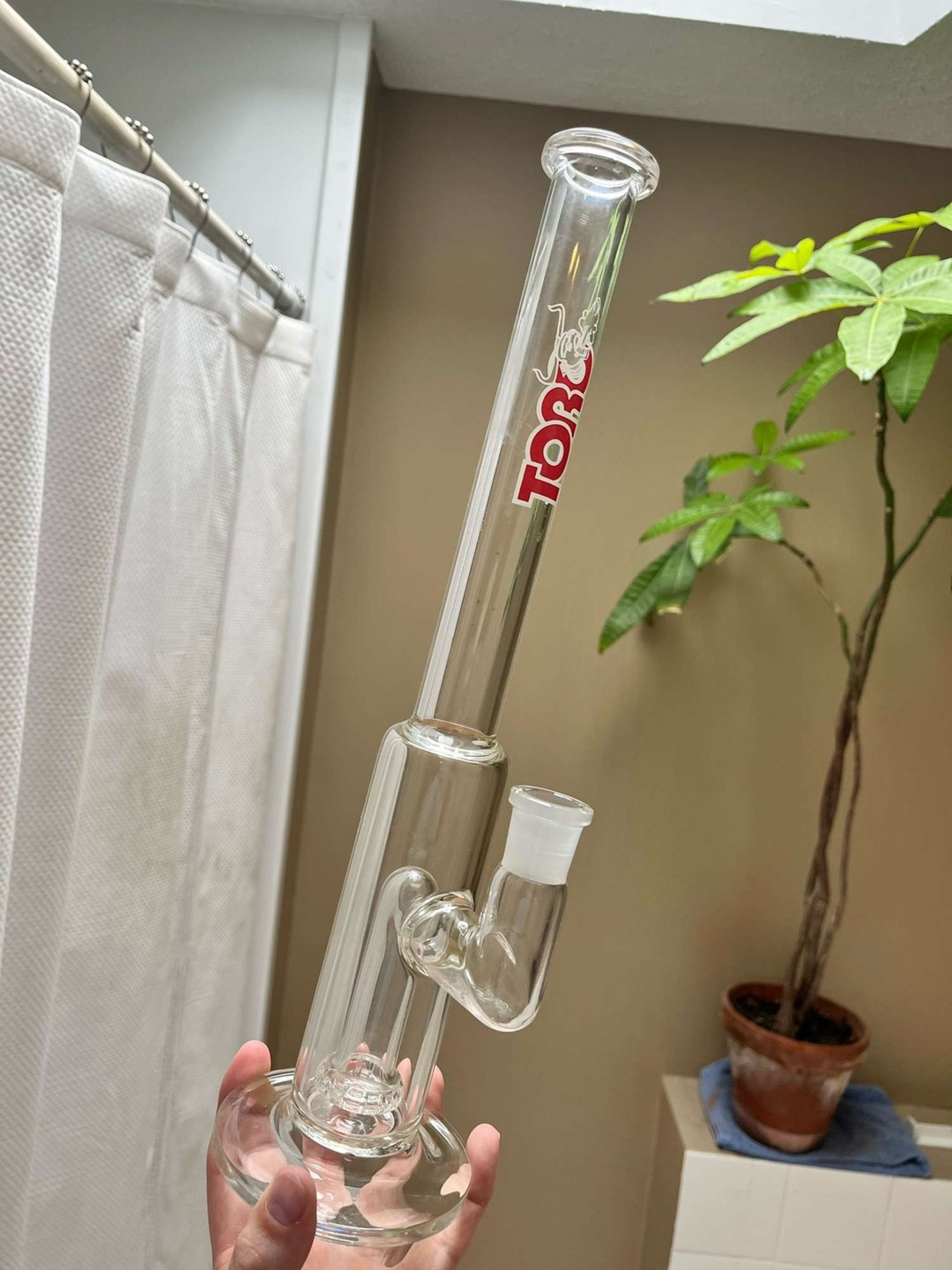 Toro Single Circ image 0