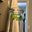 Small image 6
