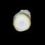 Small image 7