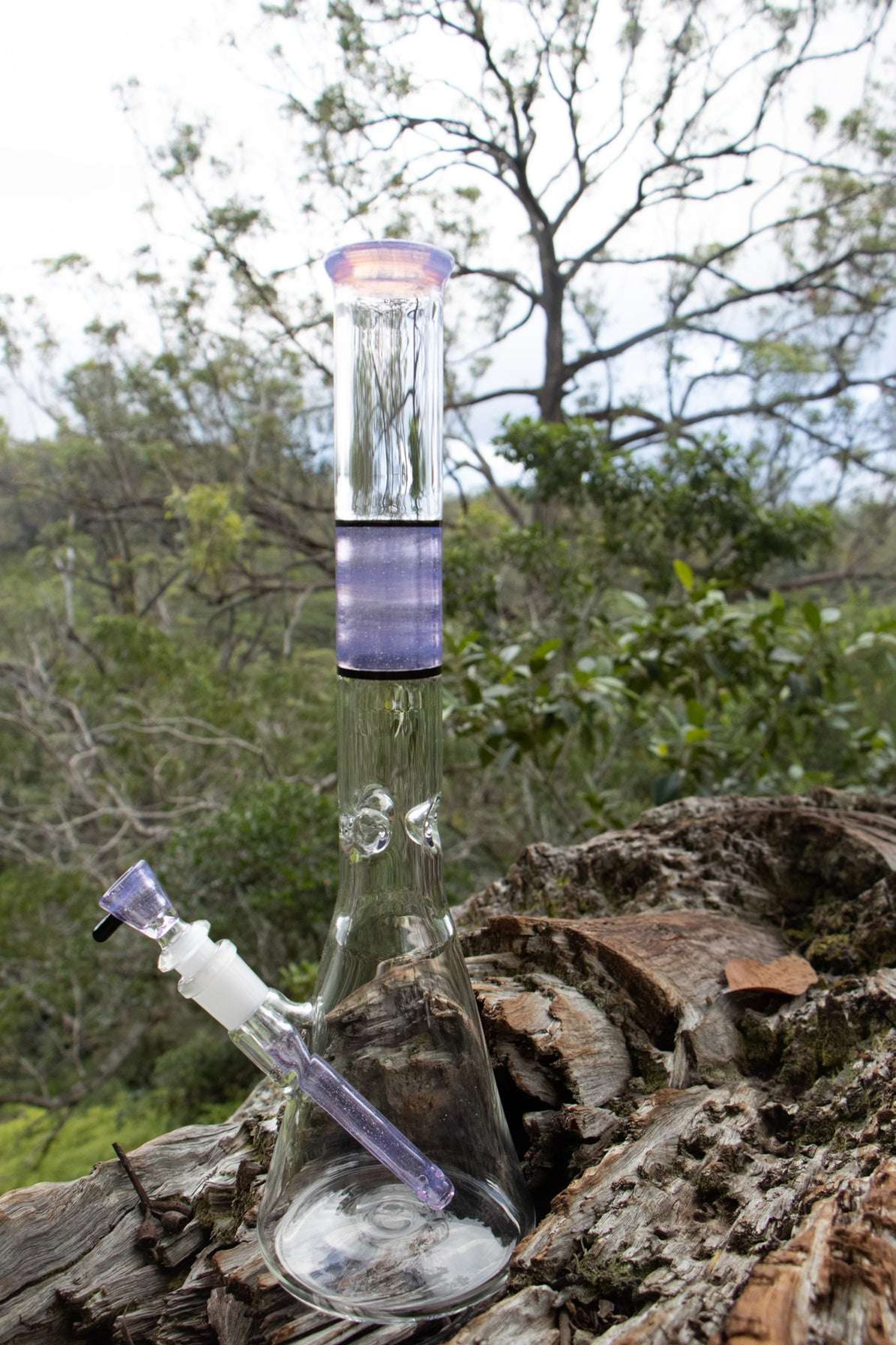 Preview pic of Purple Don Rob Beaker 