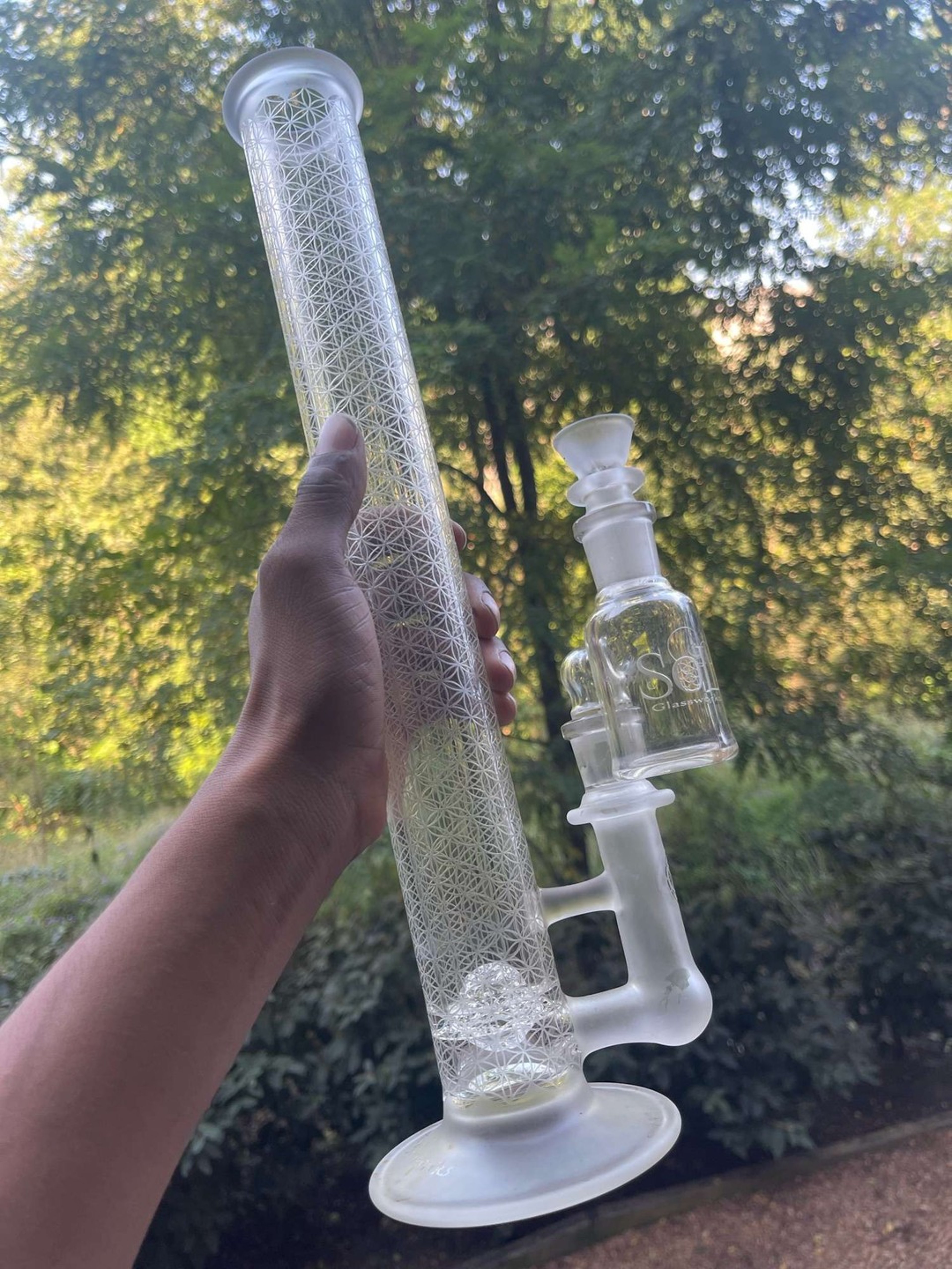 SOL Circle Perc image 0
