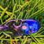 Small image 4