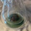 Small image 6