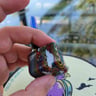 Small image 4