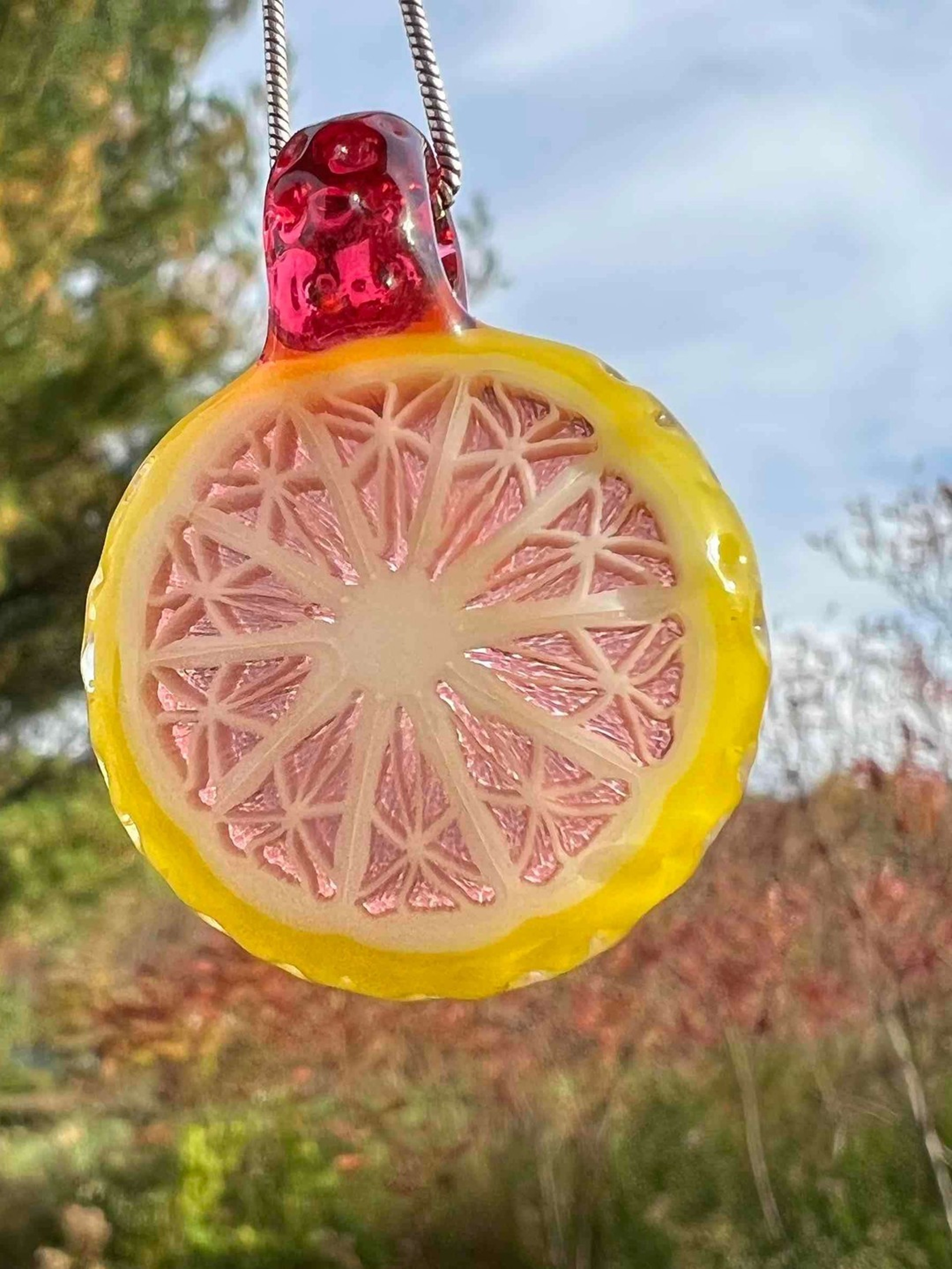 Preview pic of Lyons slice 