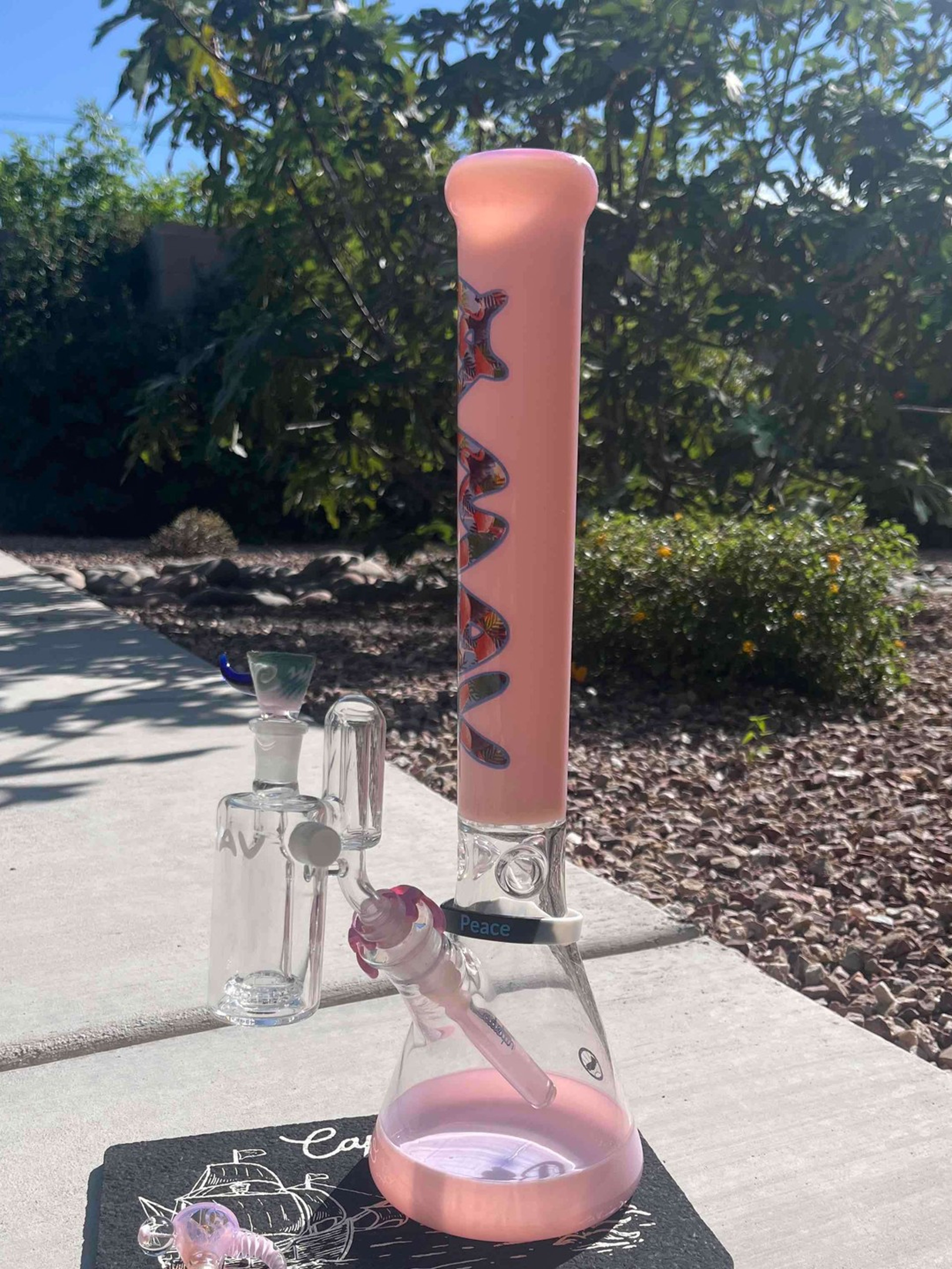 Flamingo Mav with matching pink frosted illy stem image 0