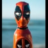 Small image 1