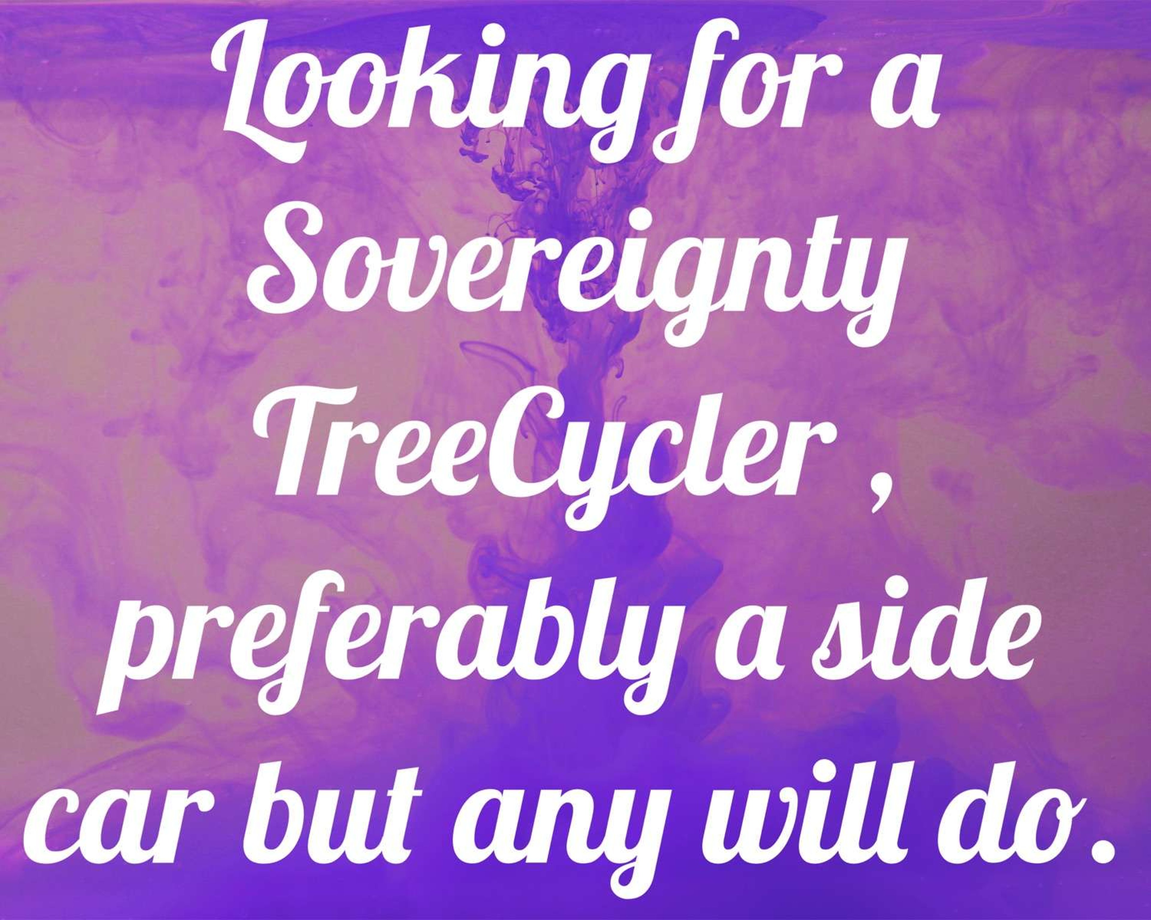 WTB TreeCycler image 0