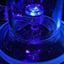 Small image 6