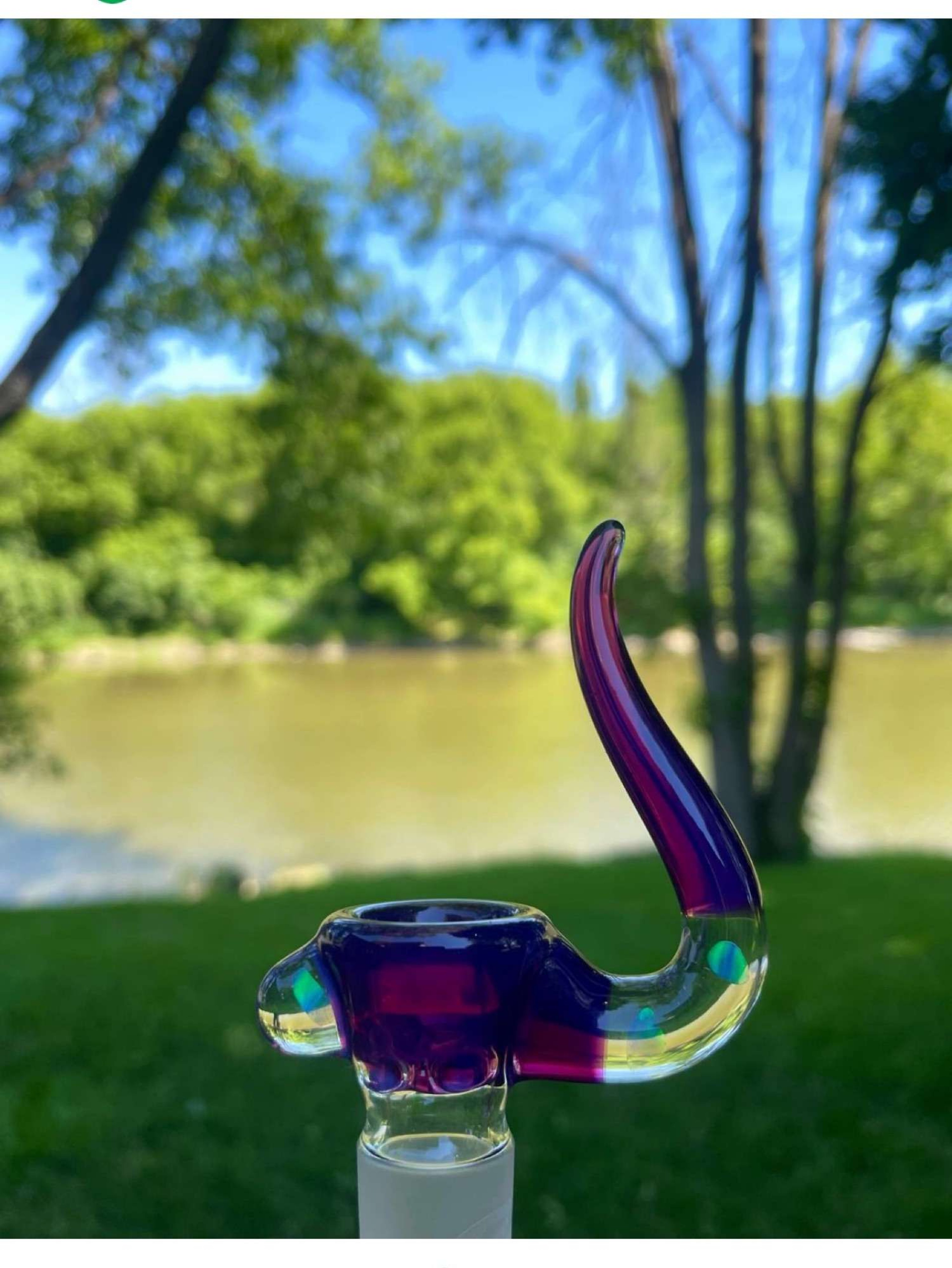 trex glass image 0
