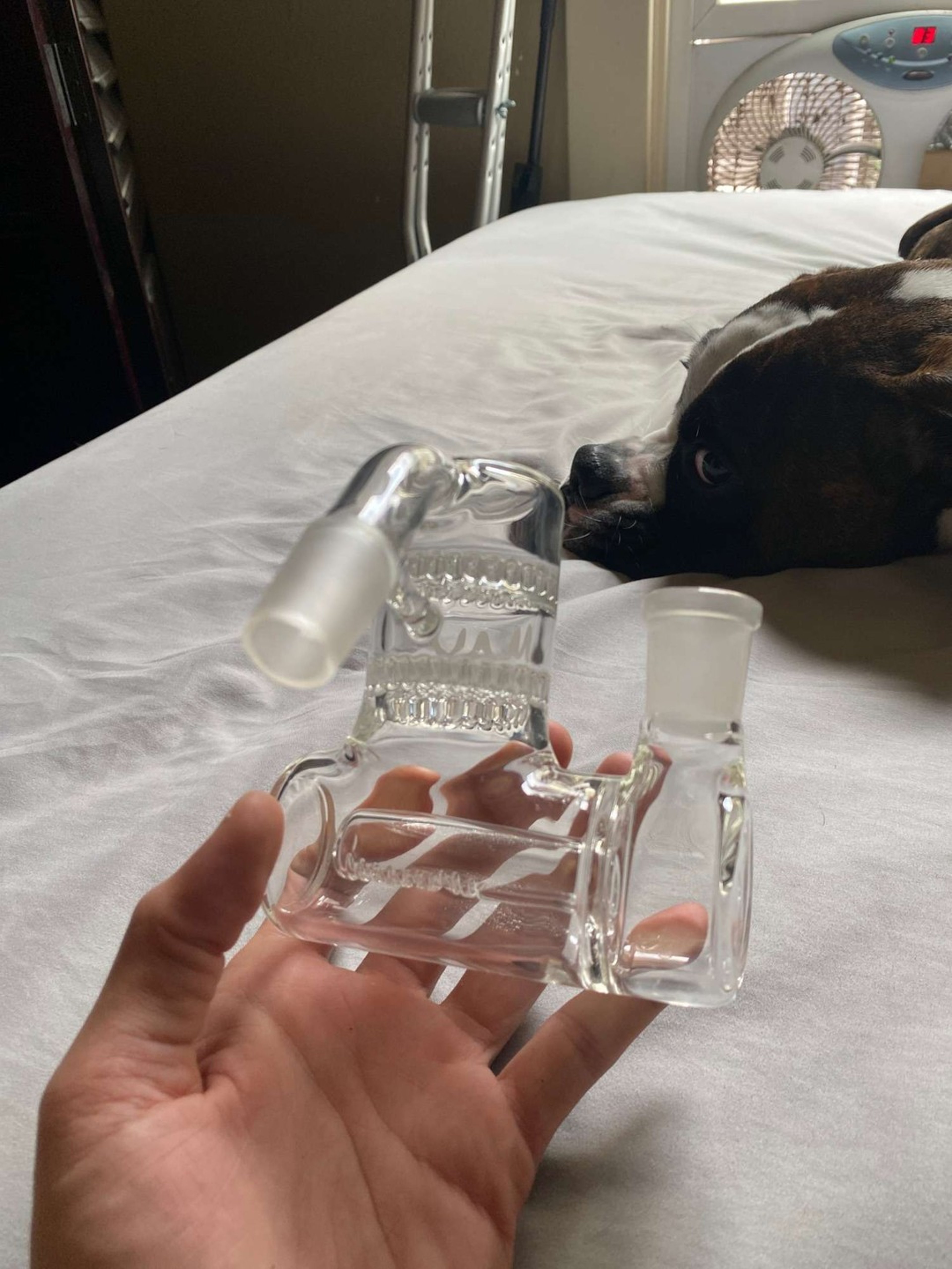 Preview pic of Ash catcher