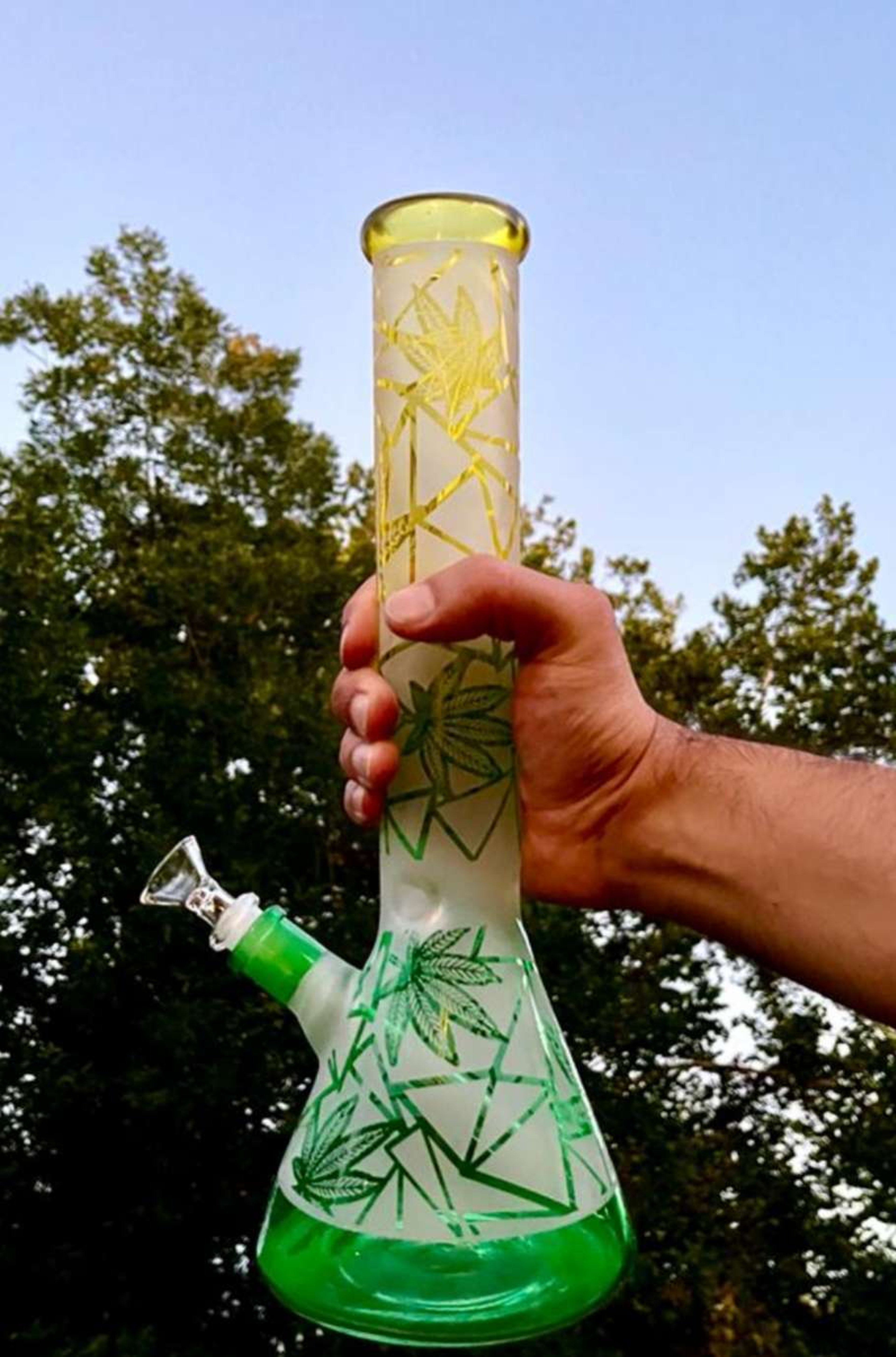14" Frosted Leaf Heavy Glass Bong Water Pipe
image 0