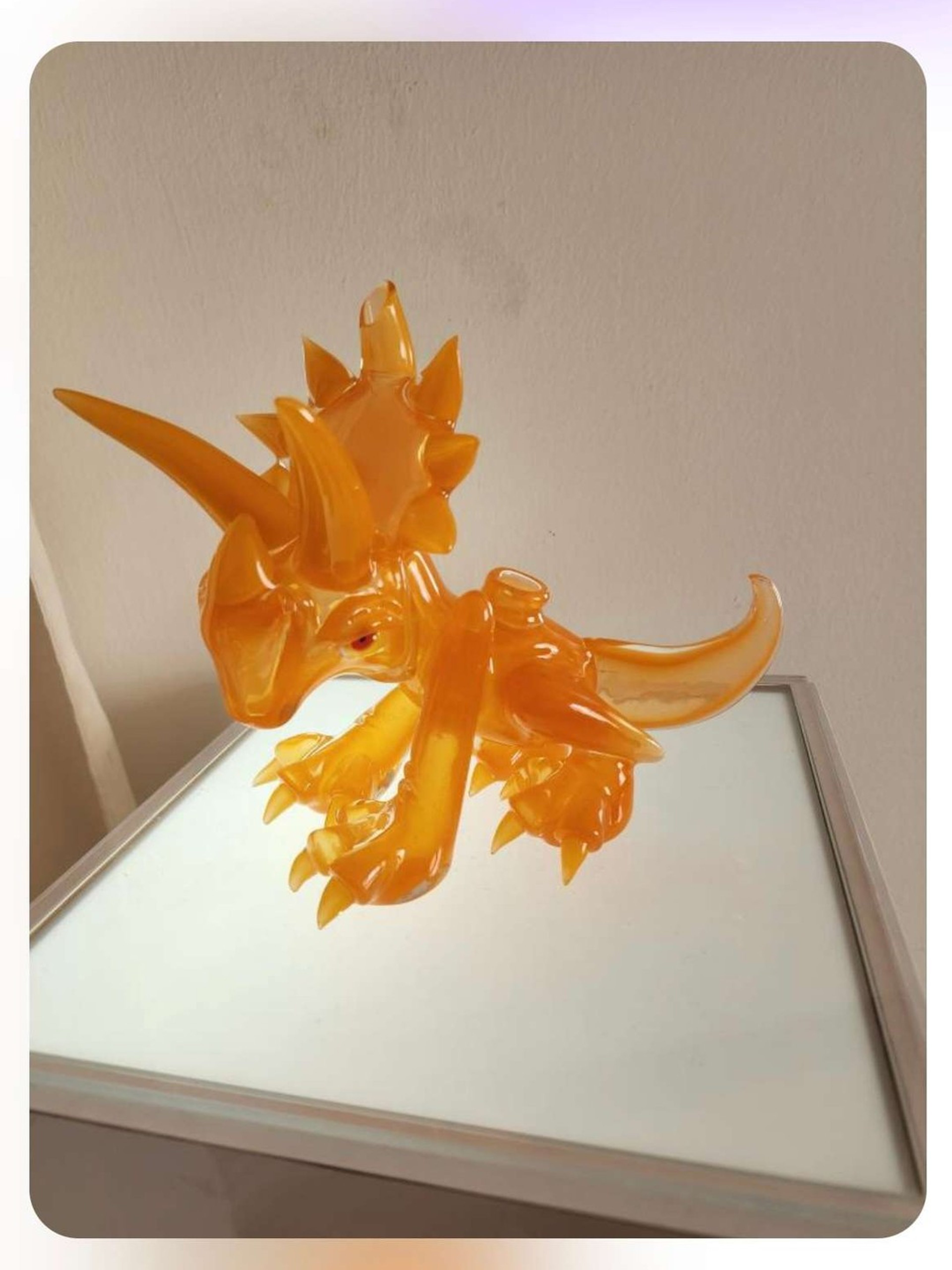 Nerv Glass NEW NEVER USED image 0