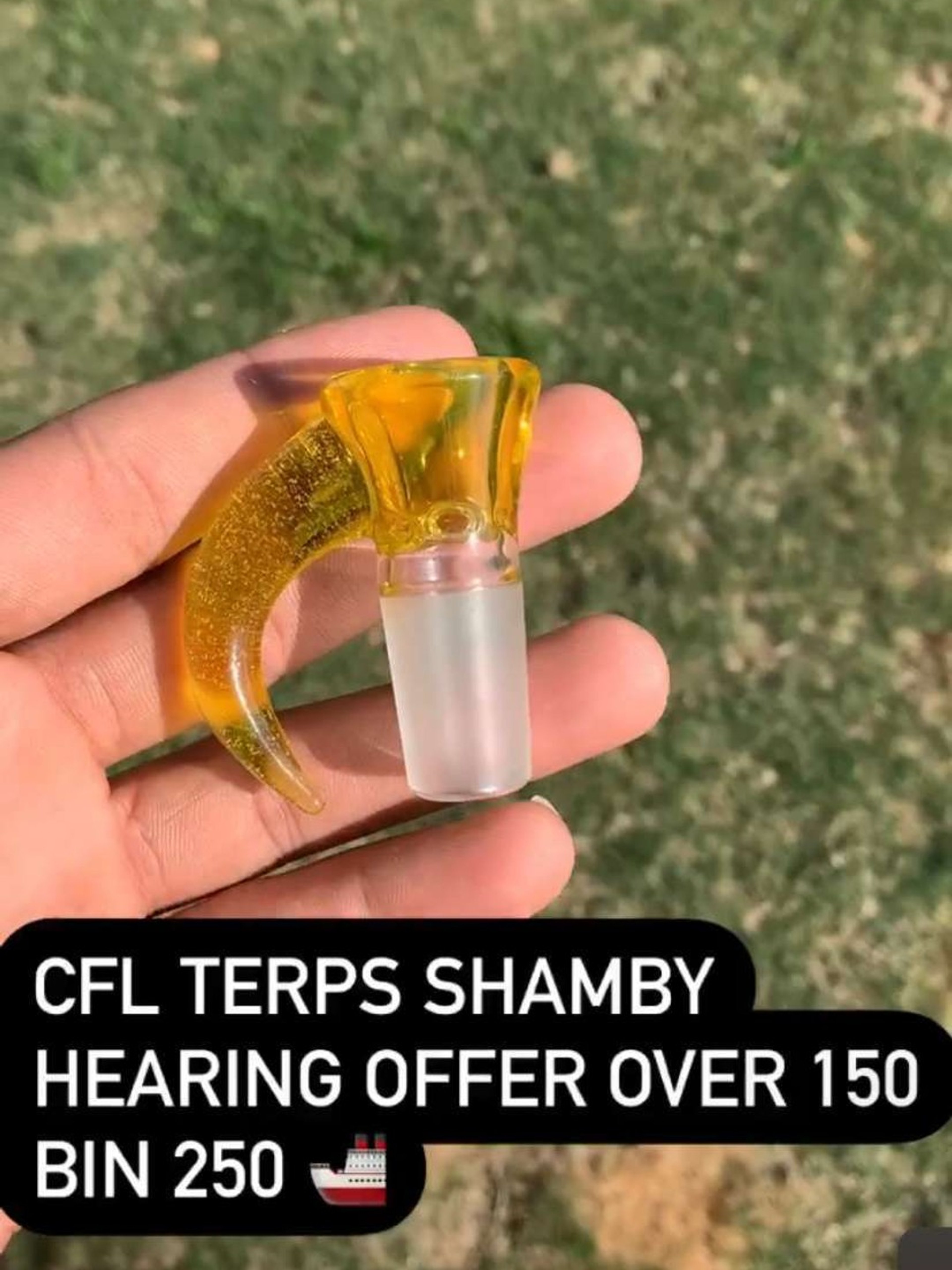 18mm Shamby Slide in Terps image 0