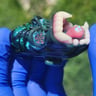 Small image 3
