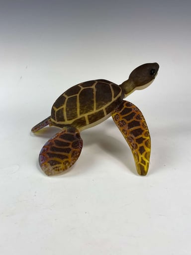 Preview pic of Addison Hanna Sea Turtle Rig