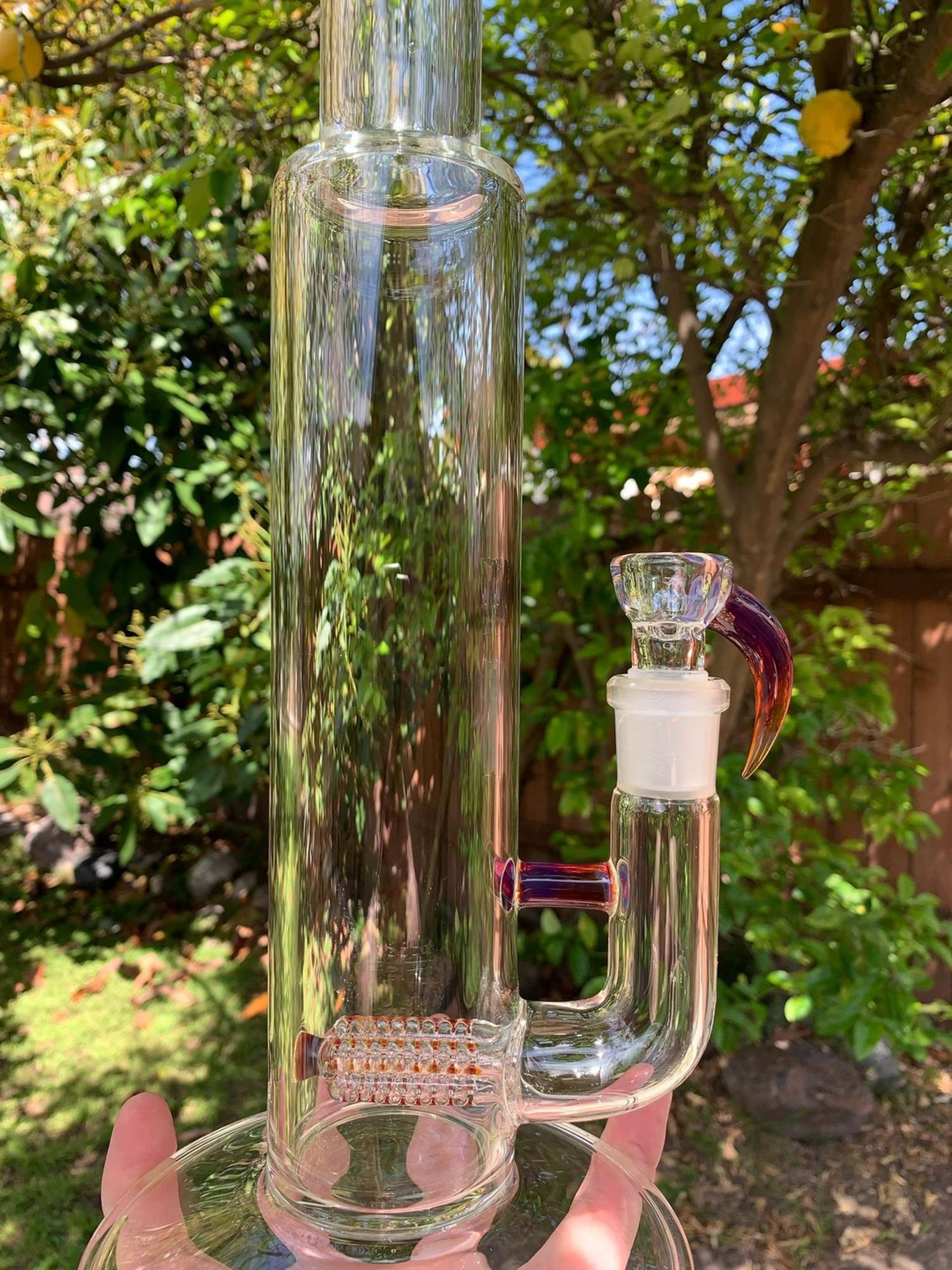 Preview pic of Amber Purple queenstem 3line