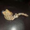 Small image 3