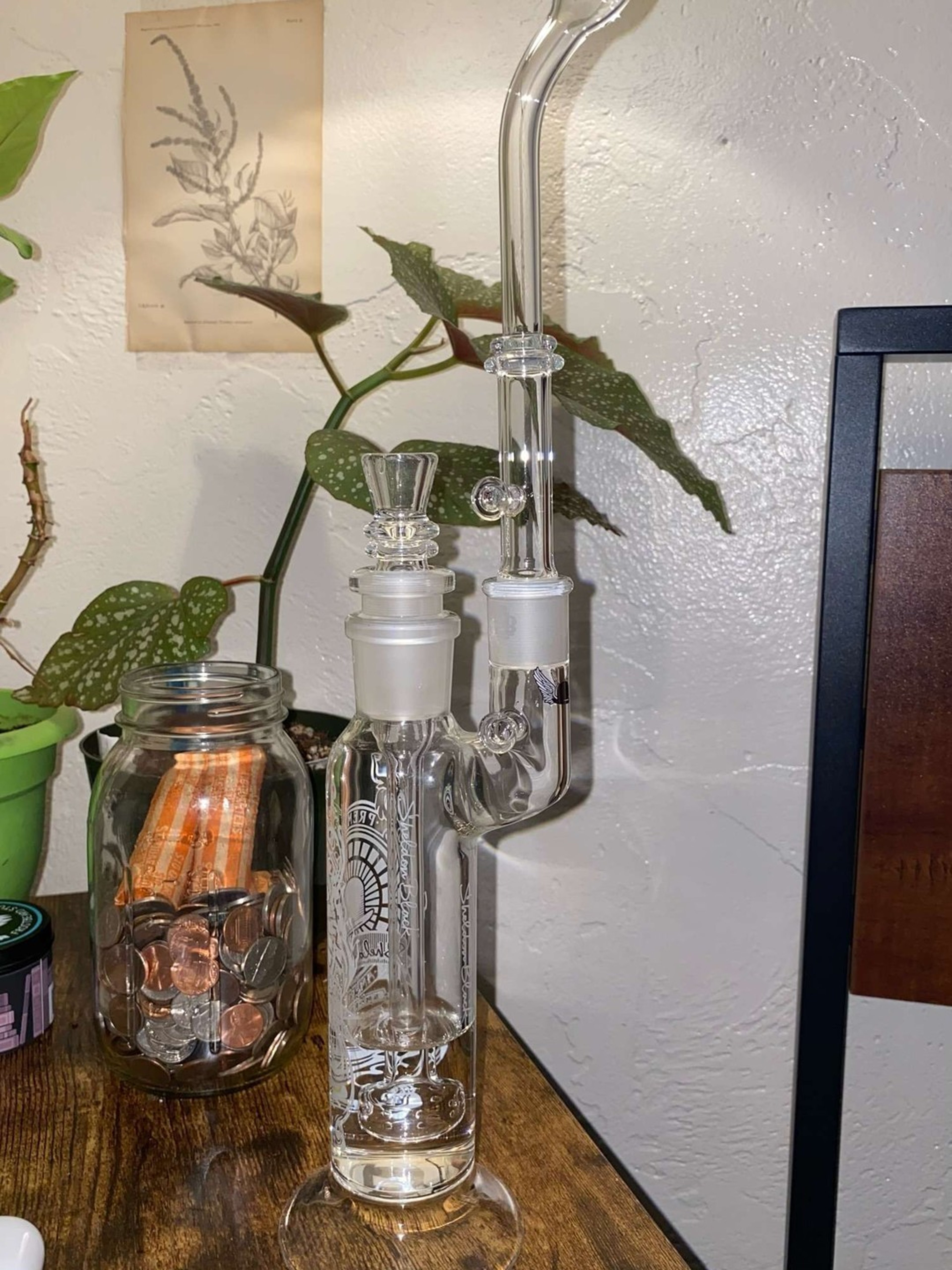 Sheldon Black Bubbler  image 0