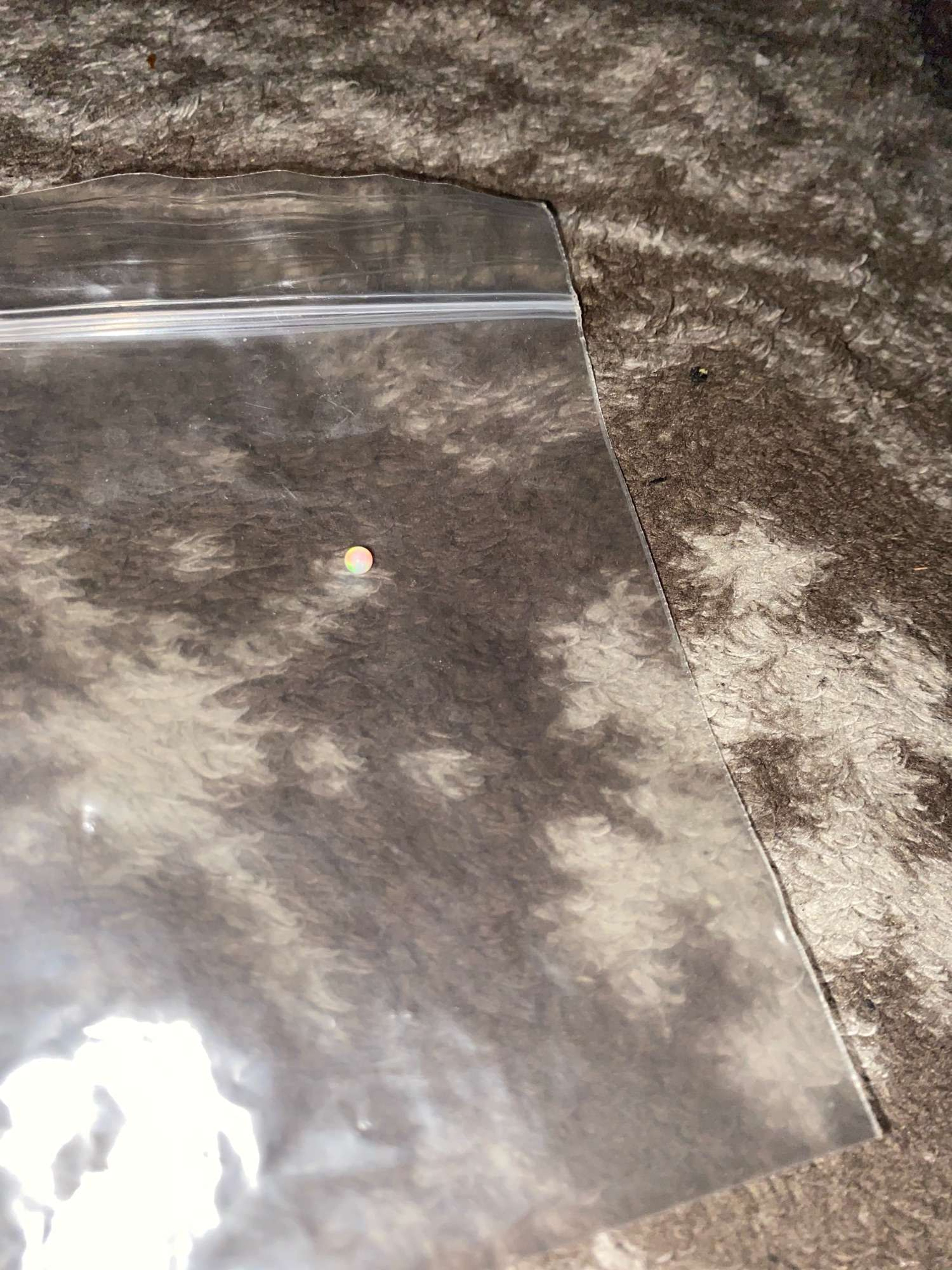 Opal terp pearl image 0
