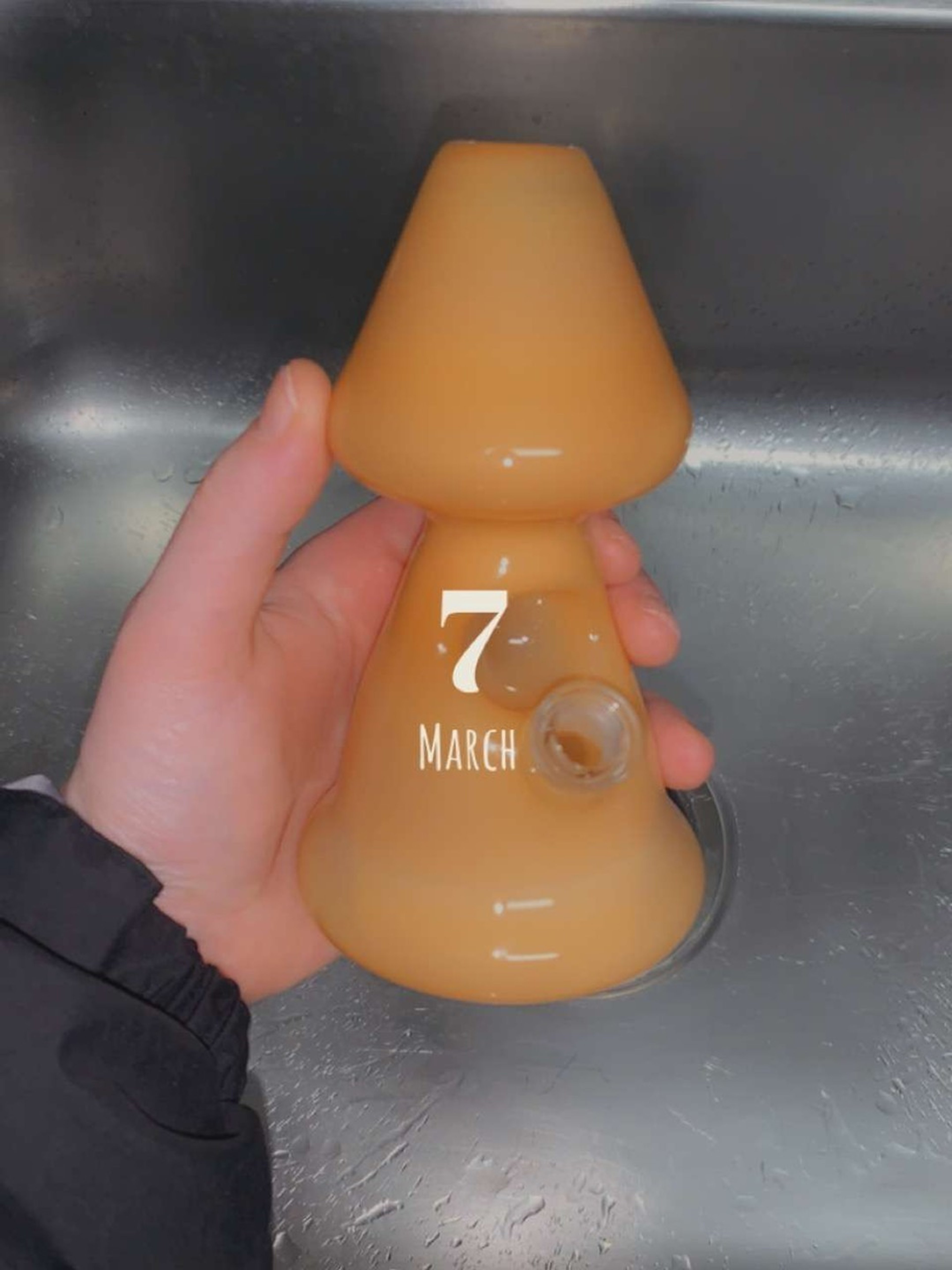 Preview pic of Yellow mushroom rig 