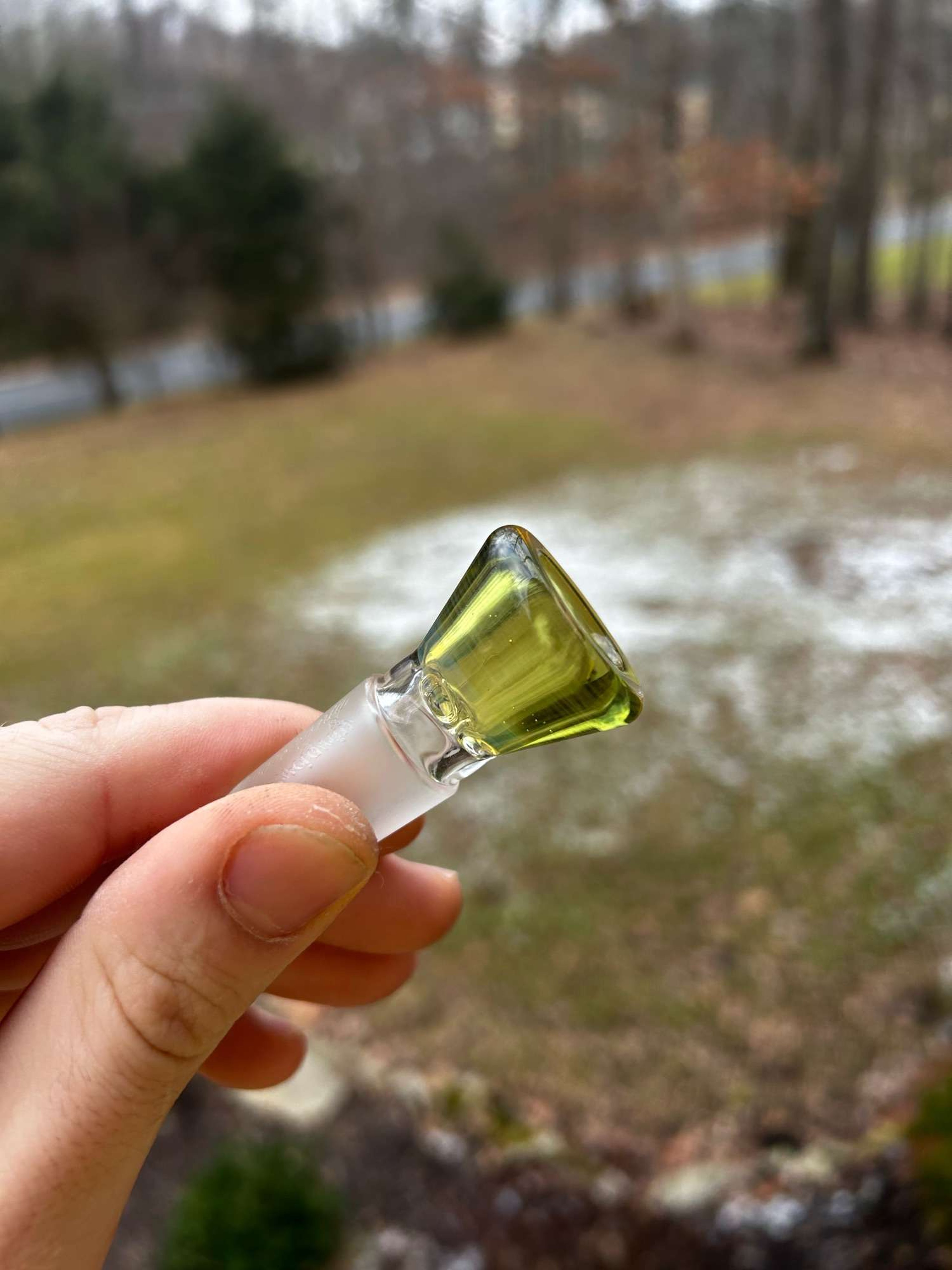ns yellow x coma hornless sovereignty slide image 0