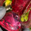Small image 9