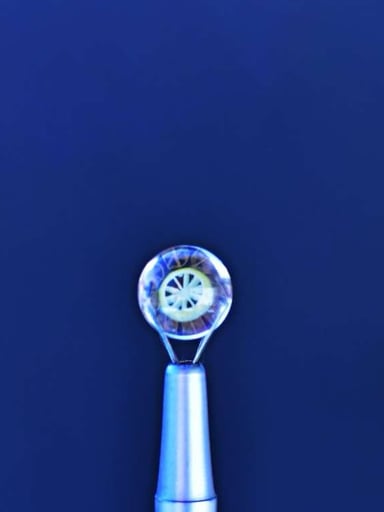 Preview pic of Lyons/Ftime valve 