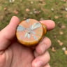 Small image 5