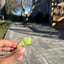 Small image 2