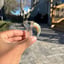 Small image 6
