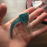 Small image 6