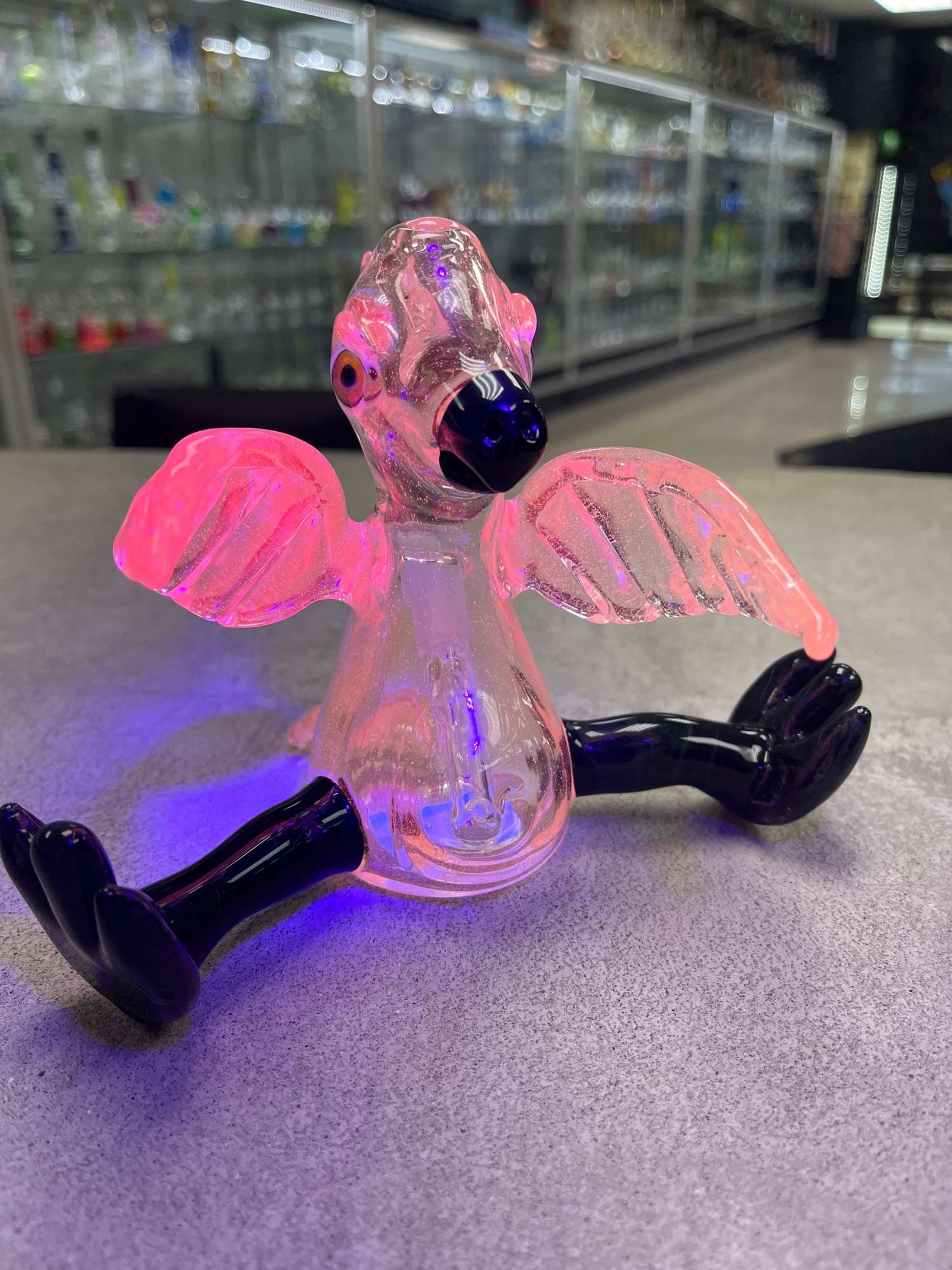 Preview pic of UV Pink Burtoni Parrot