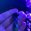 Small image 5
