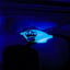 Small image 5