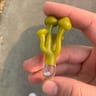 Small image 0