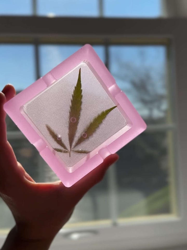 glow in the dark square shaped leaf ashtray in light magenta