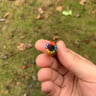 Small image 3