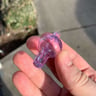 Small image 6