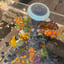 Small image 8
