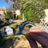 Small image 1