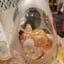 Small image 5