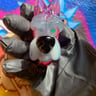 Small image 0