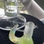 Small image 4